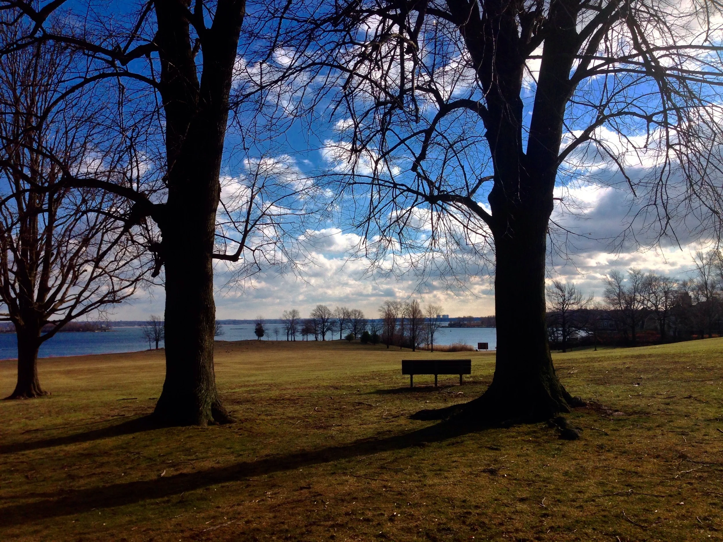 Davenport Park, check out the Grandma Willow face I found in one of those trees here