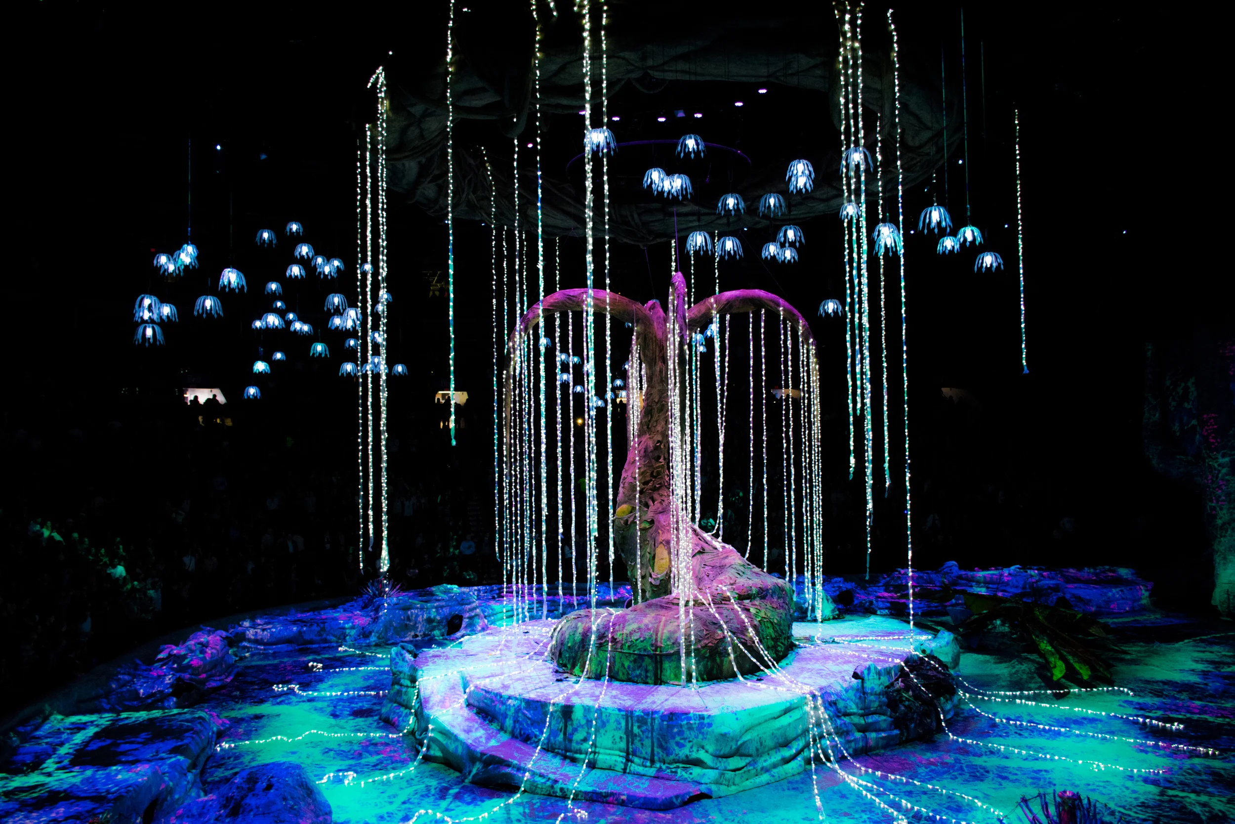 Cirque du Soleil - Toruk: The First Flight