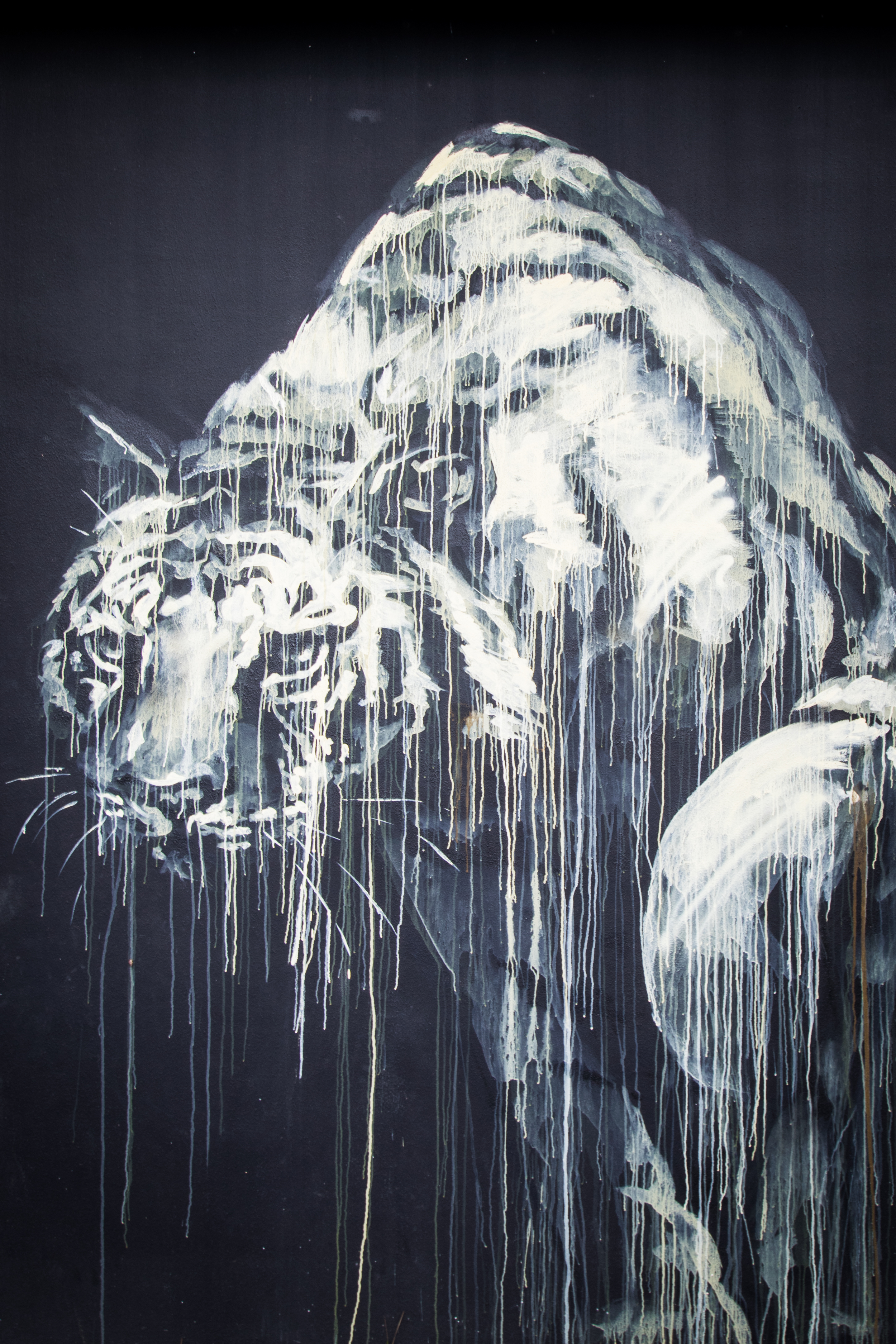 A personal favorite of the day, this beautiful tiger by Faith47 from South Africa