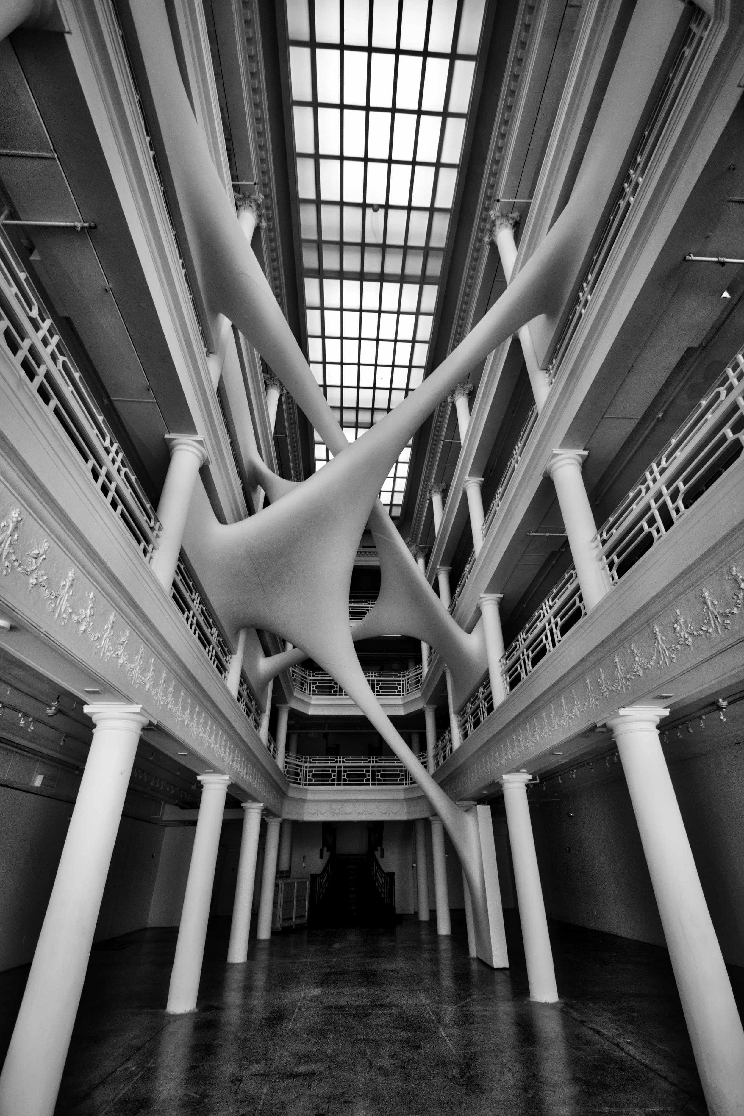 Elastika art installation by Zaha Hadid in the Moore Building