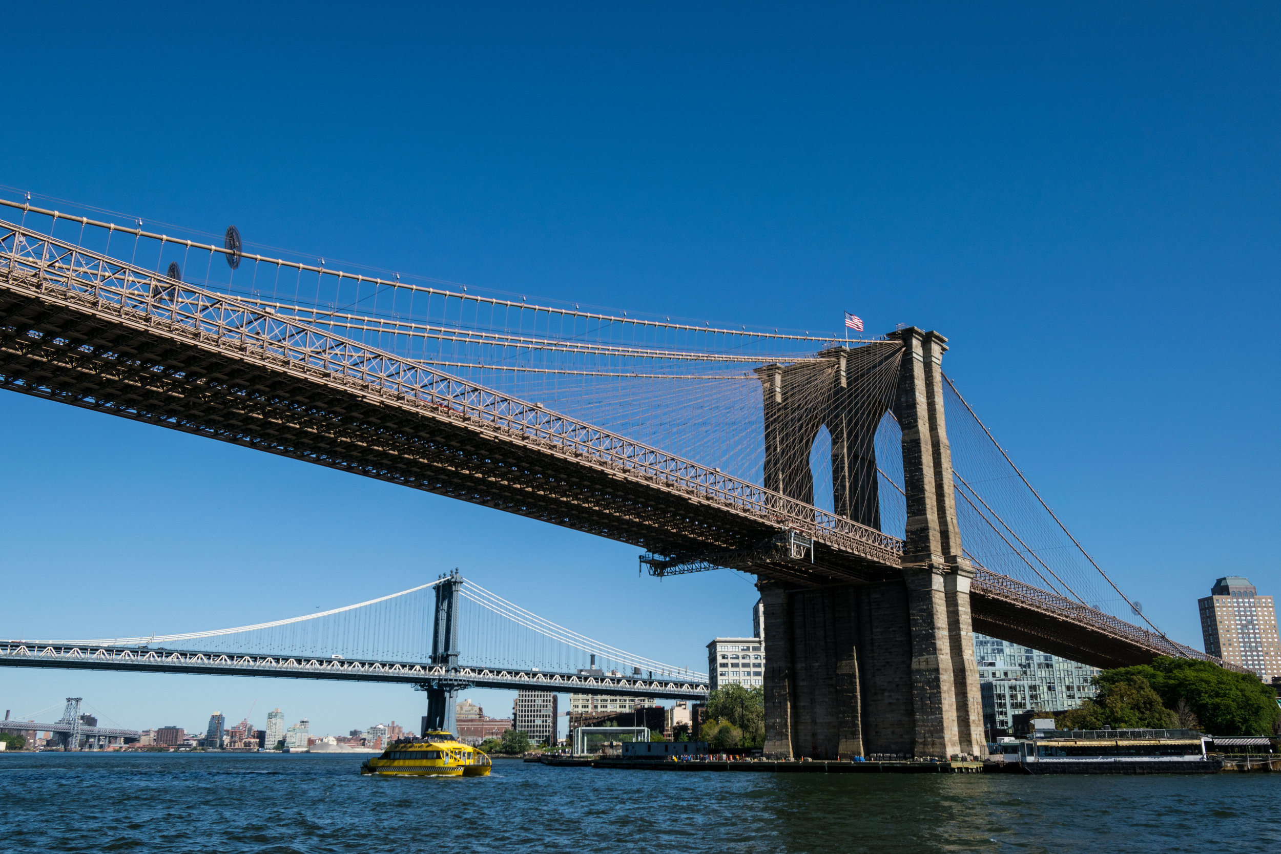 Brooklyn & Manhattan Bridges