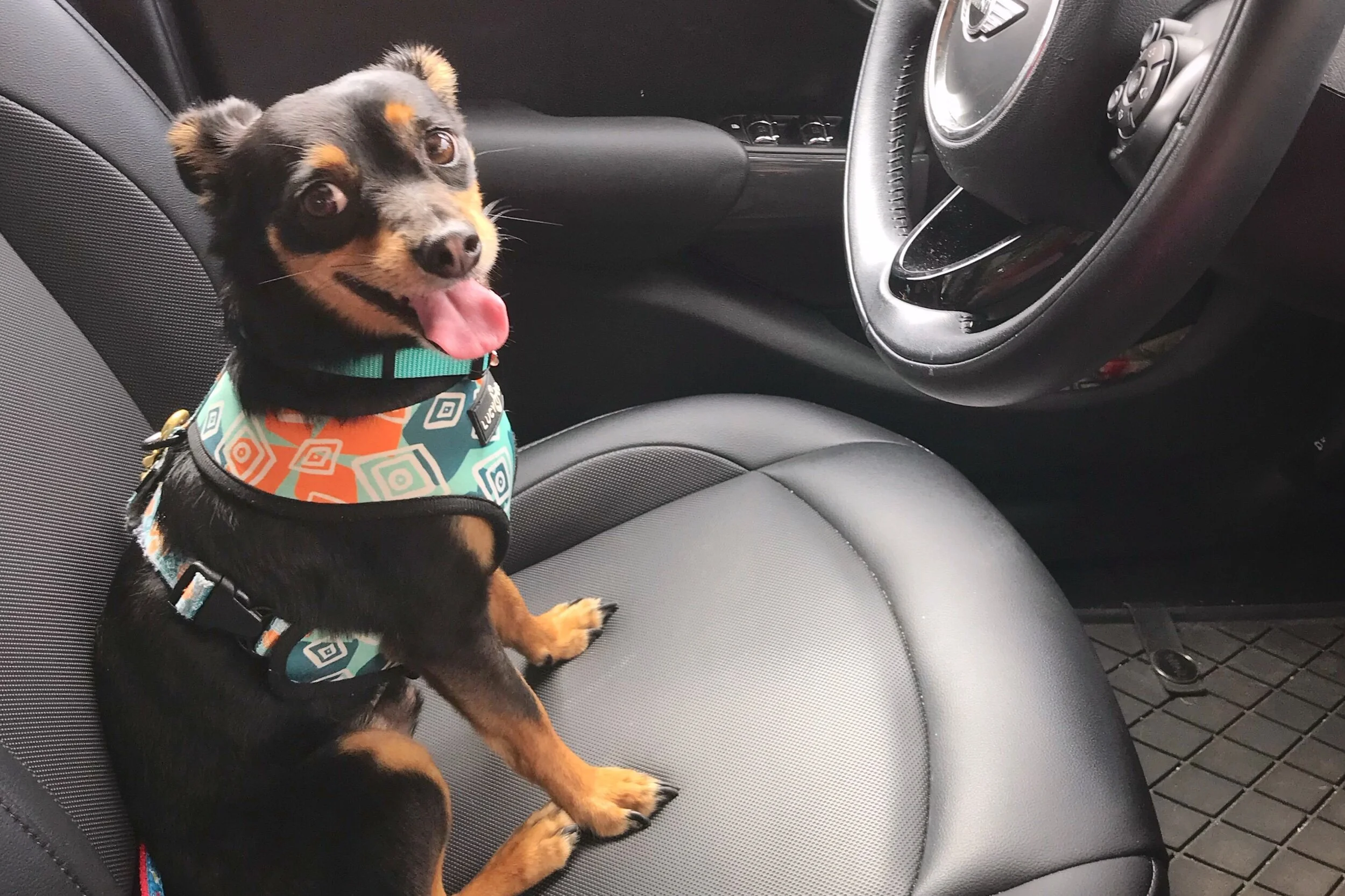 Goodbye Baltimore, Hello…