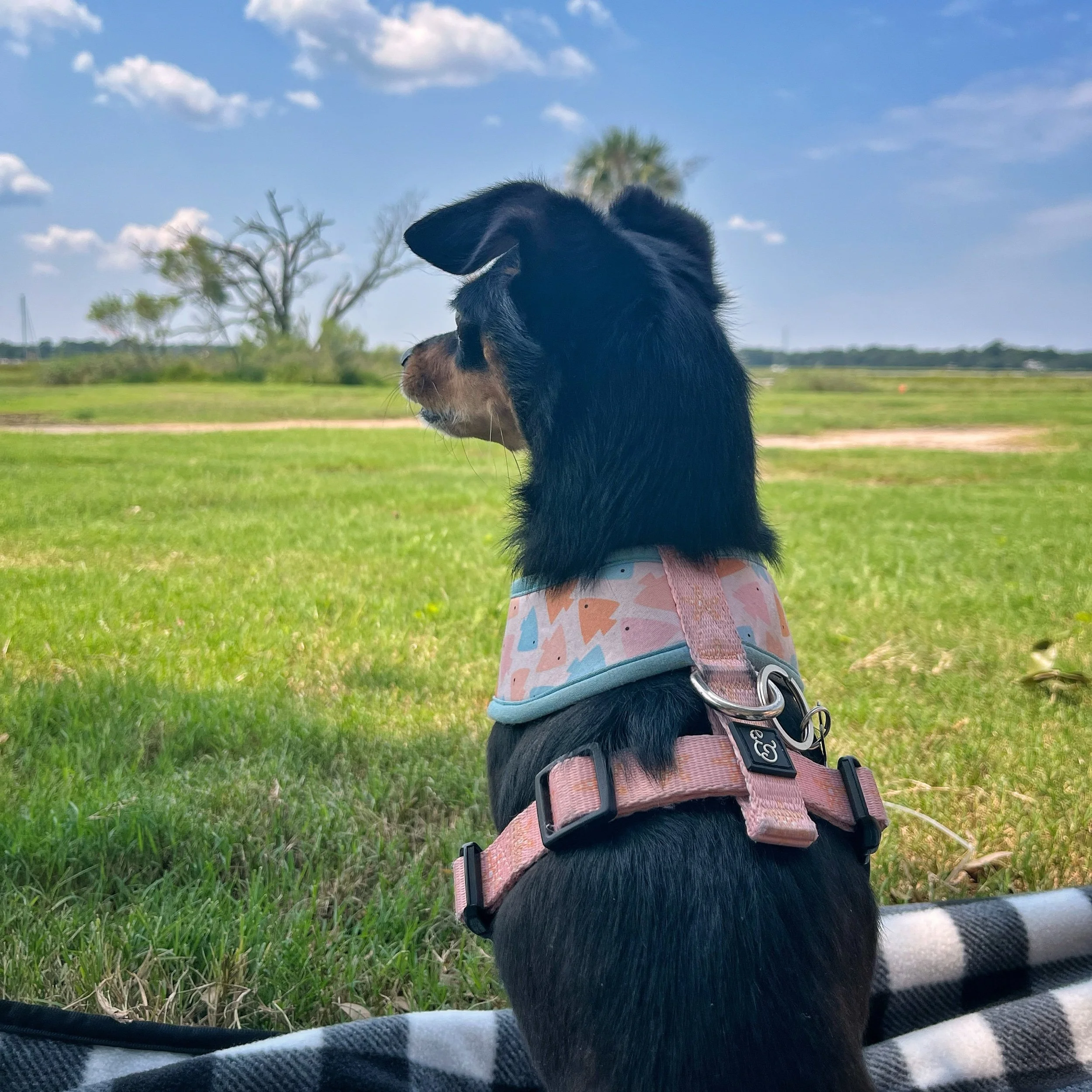 August 2024 Highlights 