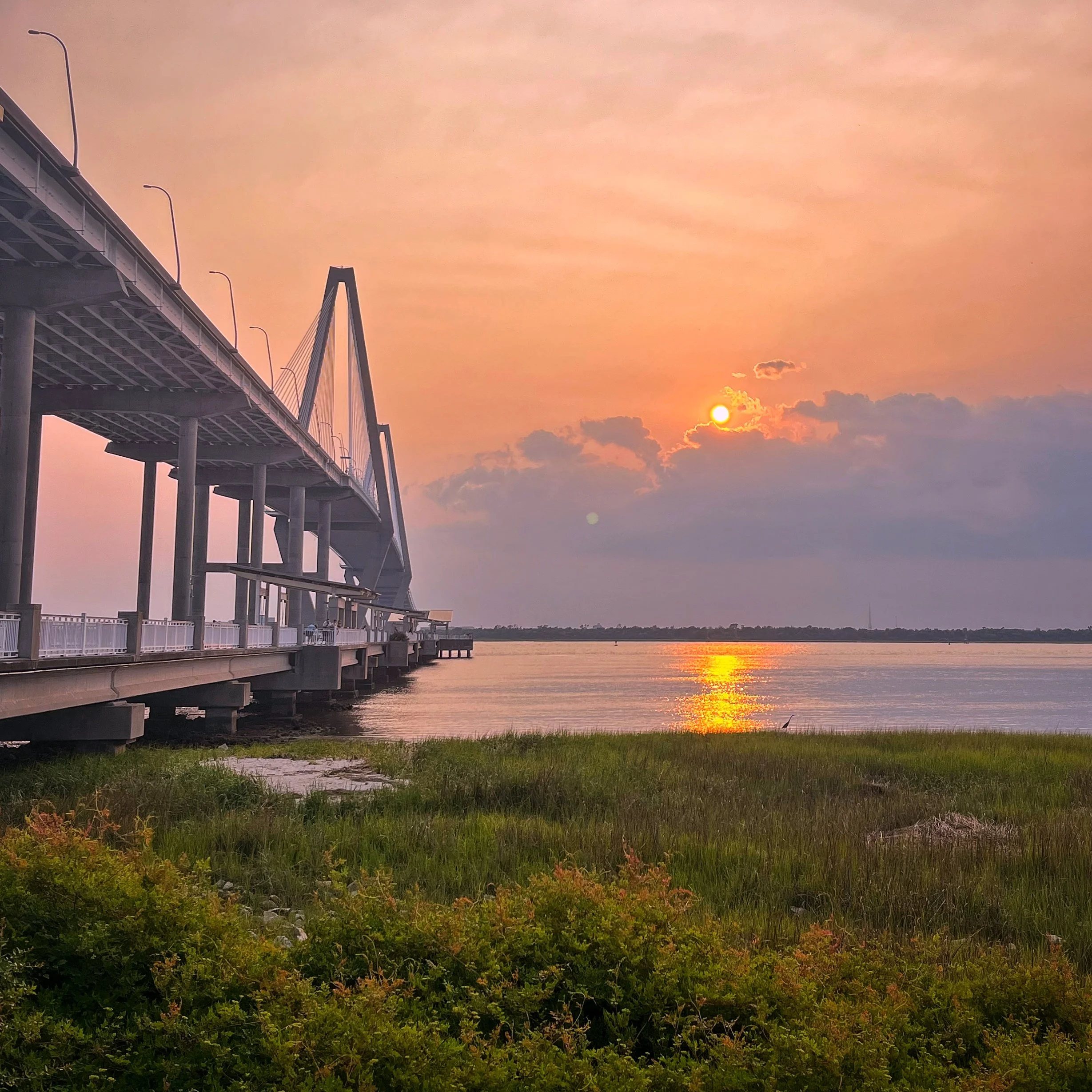 June 2025 Highlights