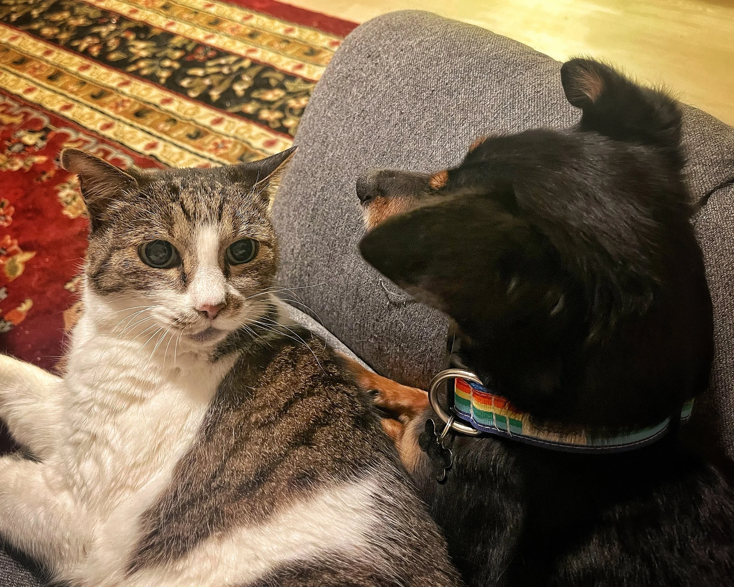 July 2025 Highlights