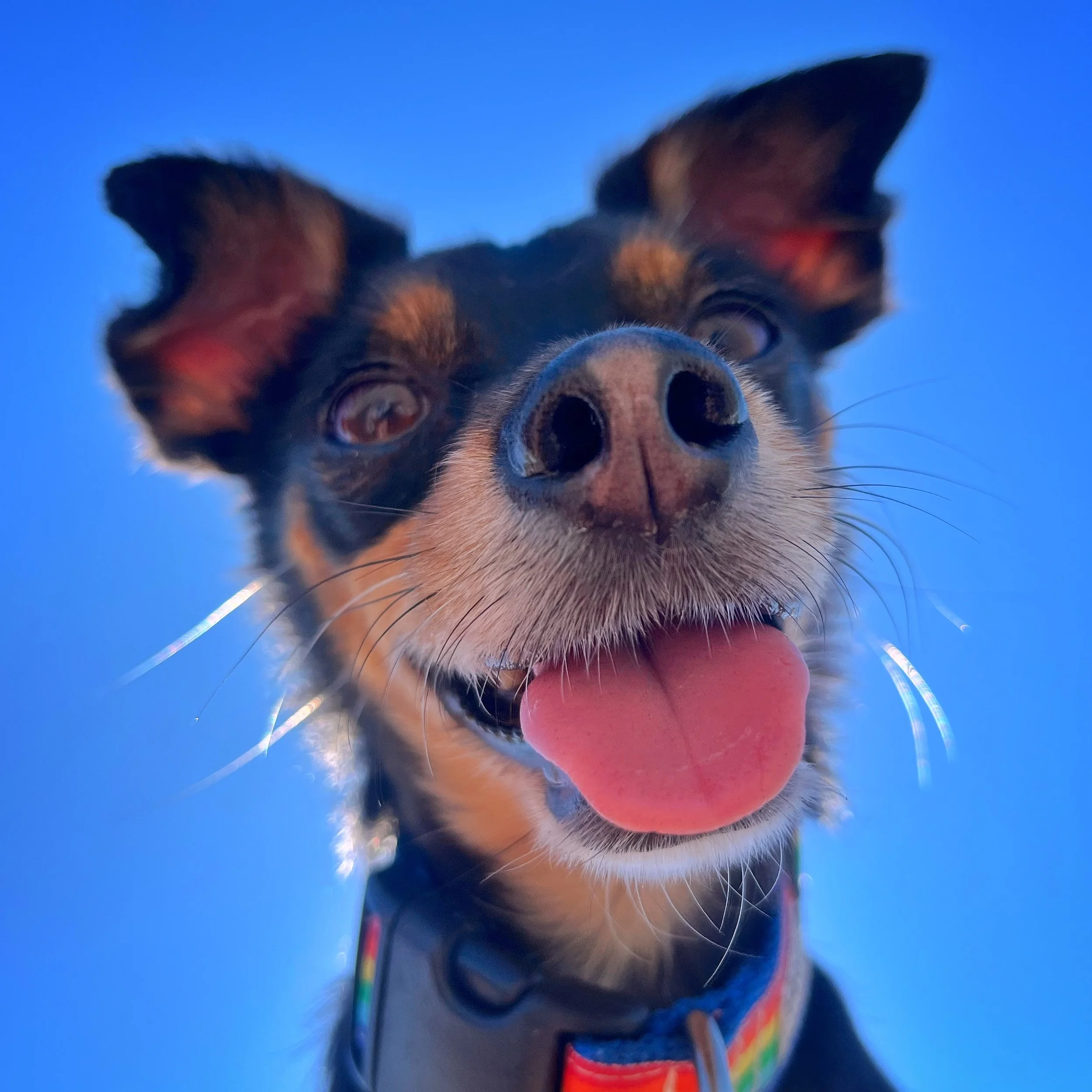 October 2025 Highlights