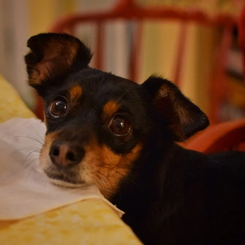 January 2026 Highlights