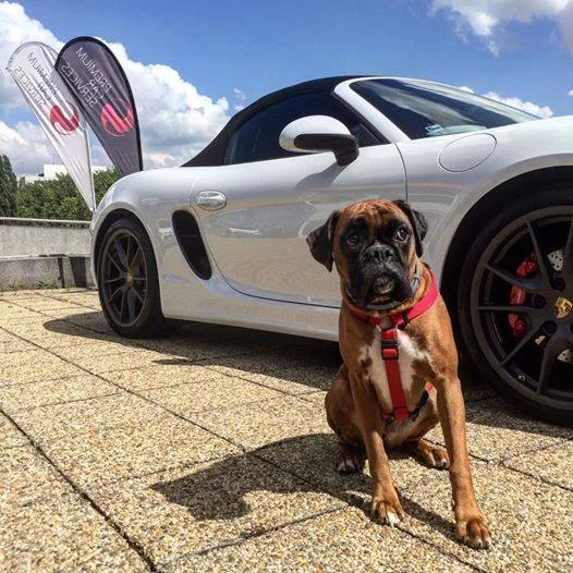 Porsche 718 Boxster GTS vs. Boxer :)