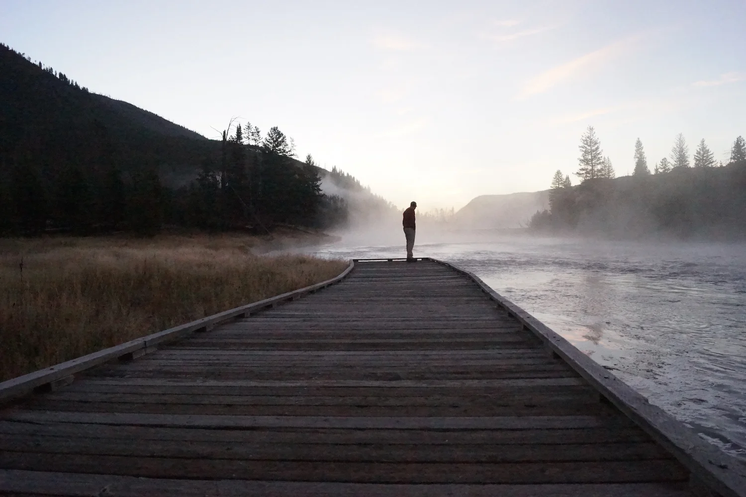 Yellowstone & Grand Tetons National Park