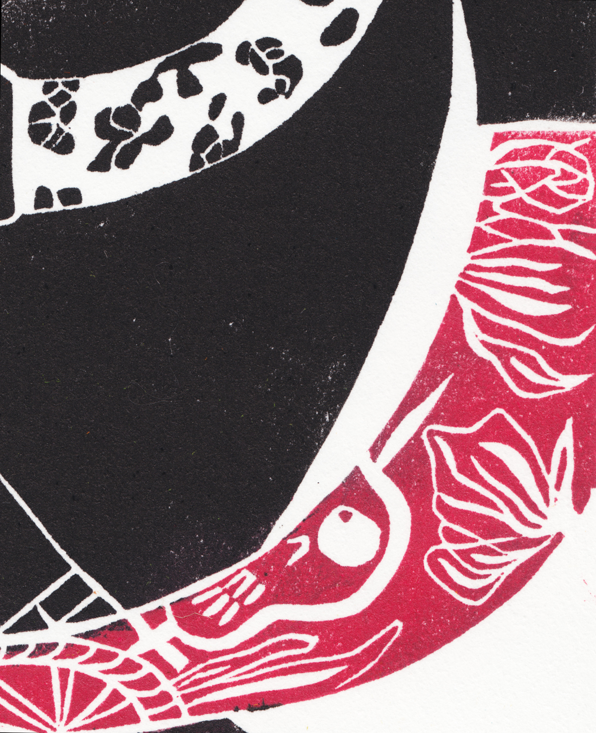 close-up 2.jpeg