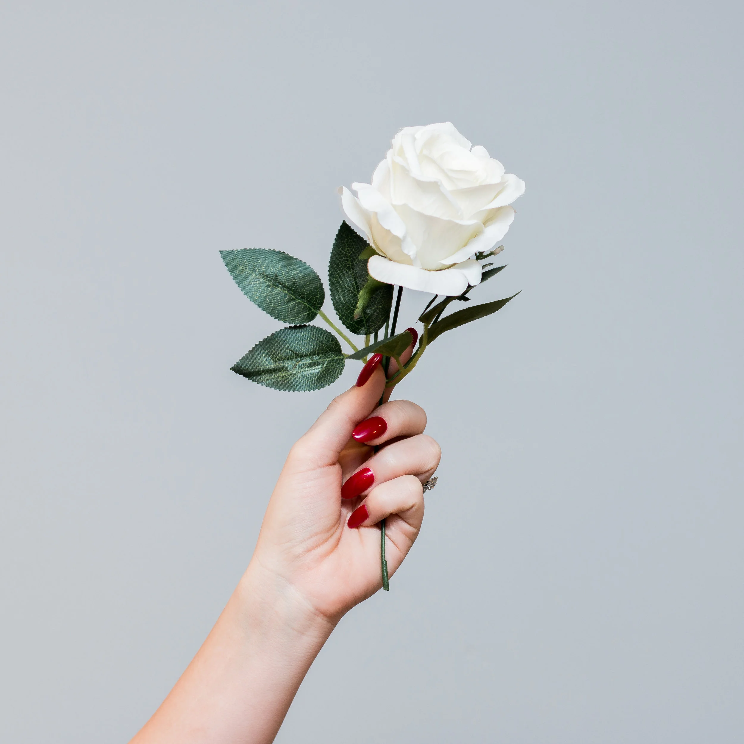 emilysotiphotography-roses-13.jpg
