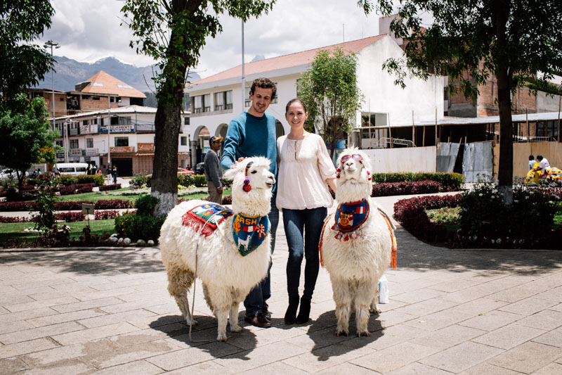 We love travelling... and lamas also...