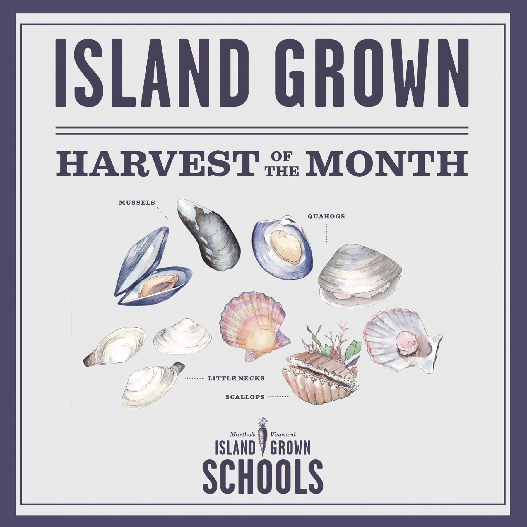 Island Grown Schools