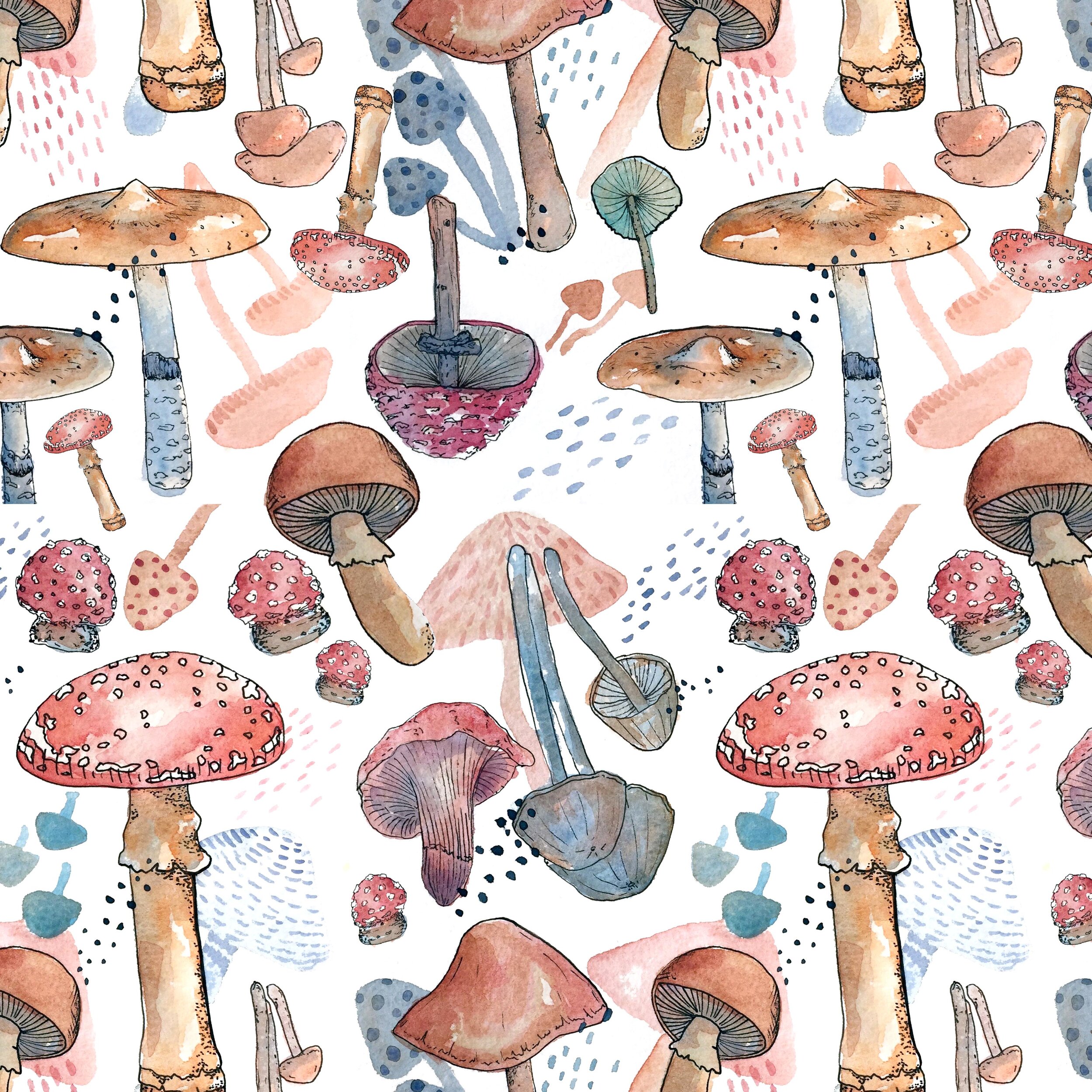 MUSHROOMS WATERCOLOR ASHLEYCHASE.jpg