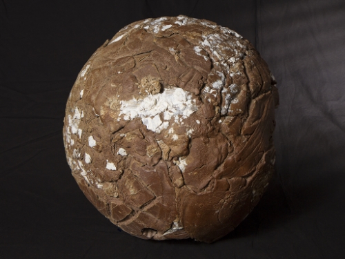Textured ceramic sphere.