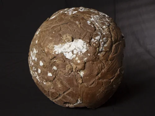 Textured ceramic sphere.