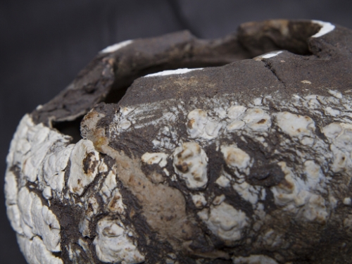 Texture detail of pipe and spigot vessel.