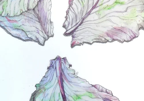 Expectations She comes in a gown of layers and frills. Then with the step sister's claws the gown is torn, layer by layer until no frills remain. Only the expected tightly coiled, compressed, round.