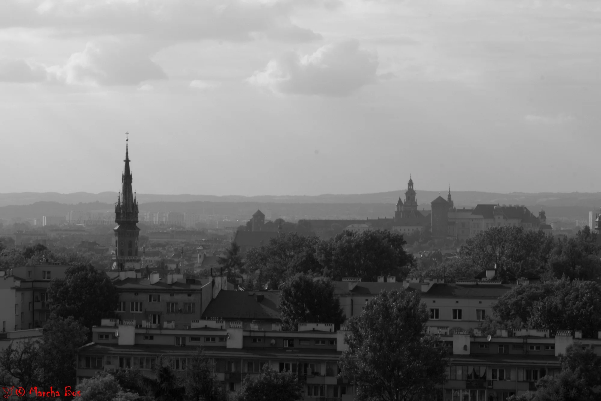 IMG_7750.jpg
