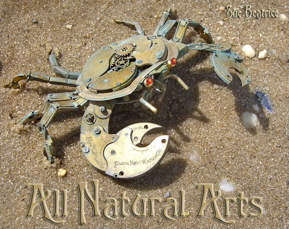 crab 1 crop text web.jpg