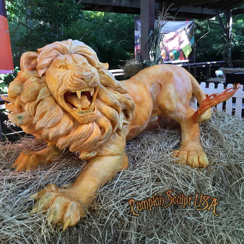 lion pumpkin 600 lbs final.jpg