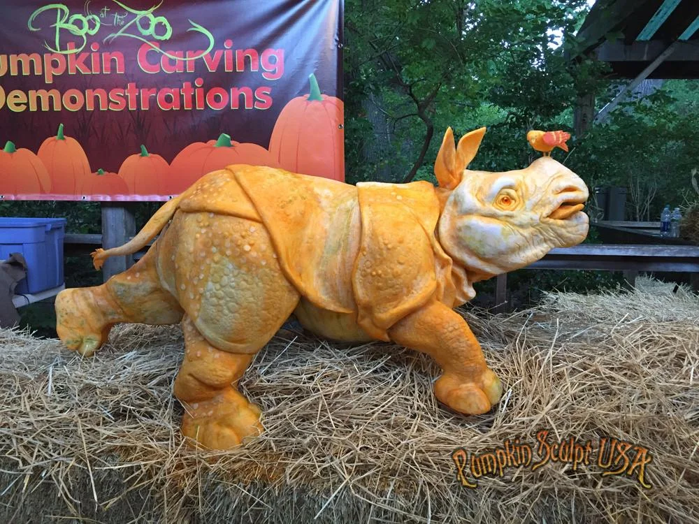 Rhino.jpg