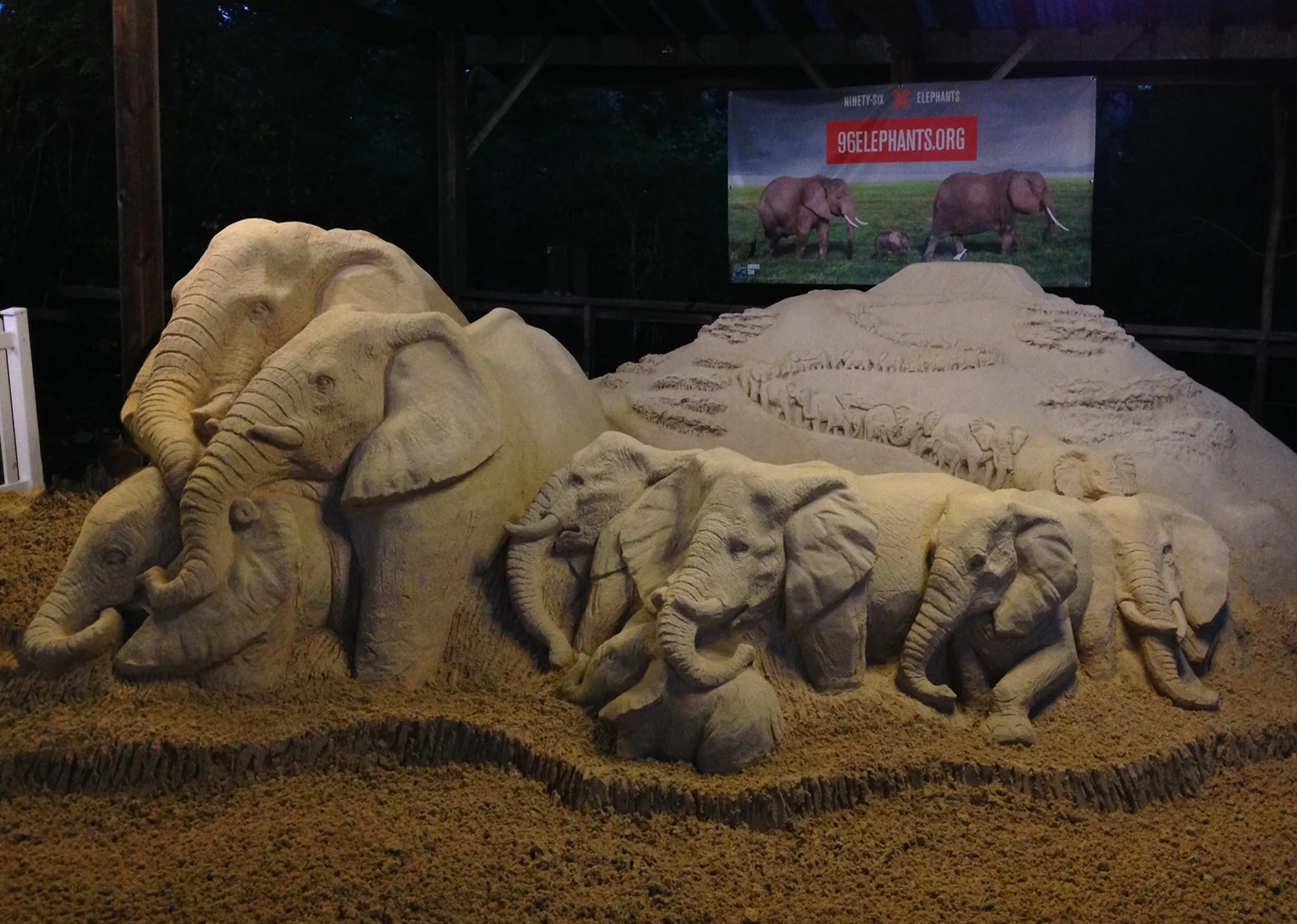 Elephants not branded.jpg