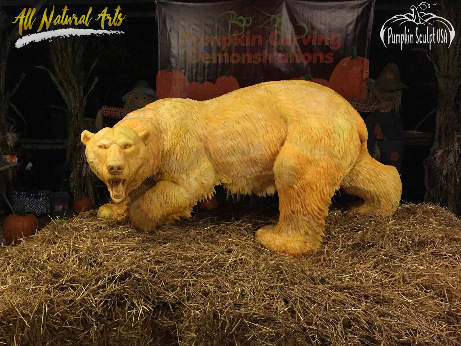 polar bear edit web text.jpg
