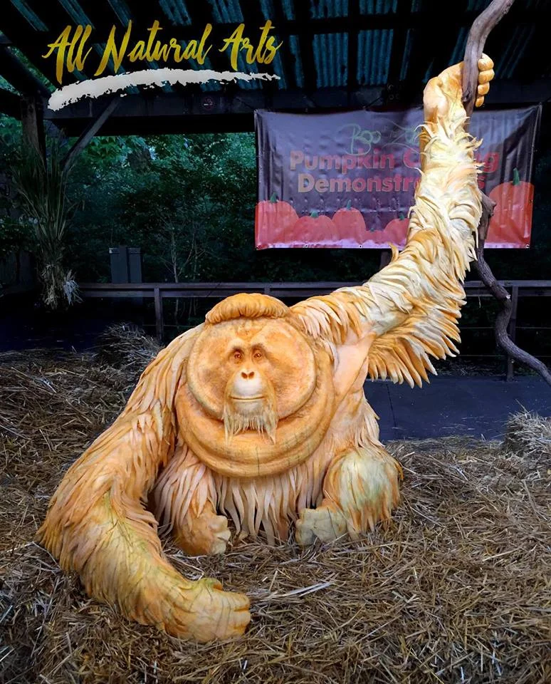 Orangutan3.jpg