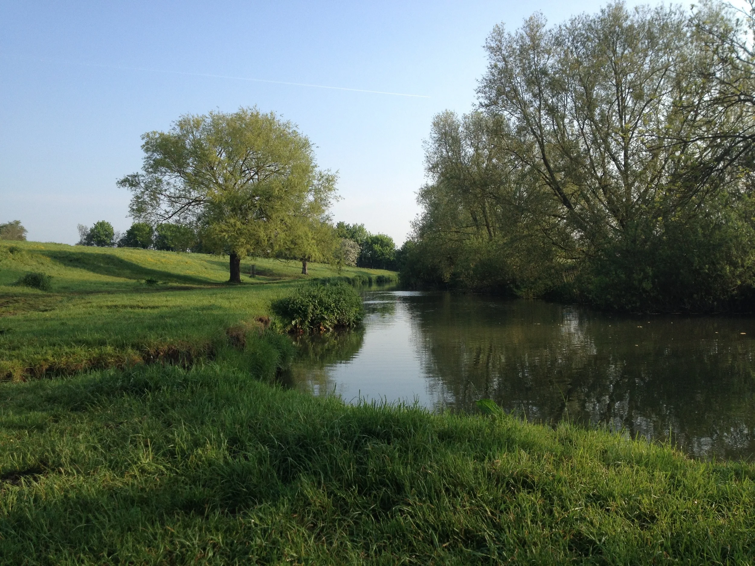Grantchester Meadows