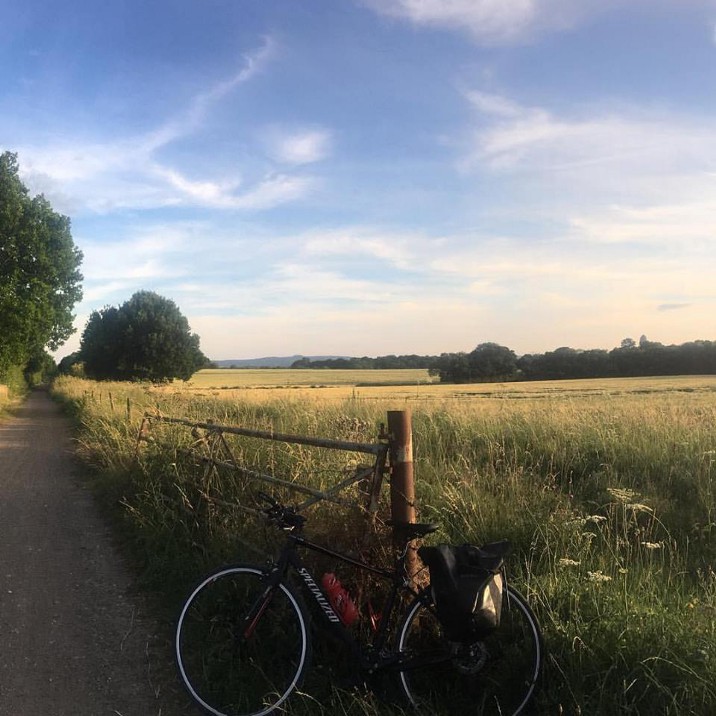 Field.jpeg