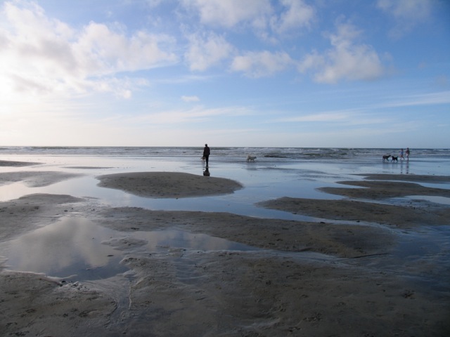 Winter Coast