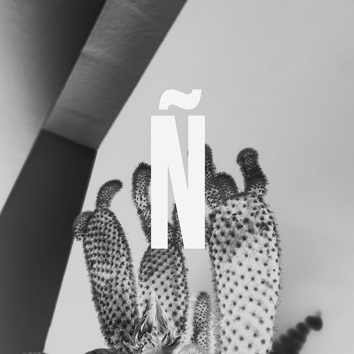 IMG_4390.png