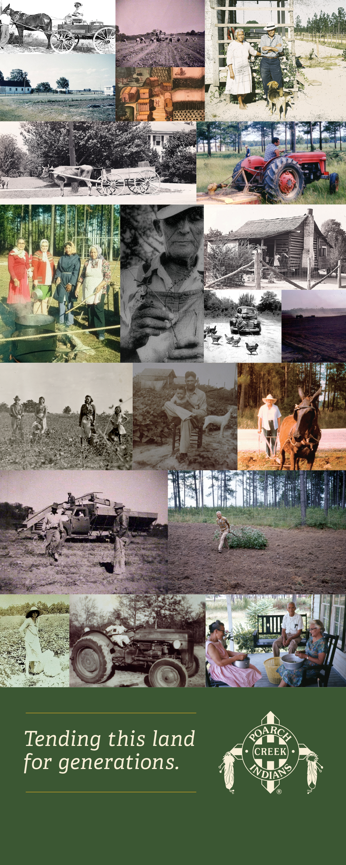 PRM_4x10ft_PCI-CollageWall-PROOF.png