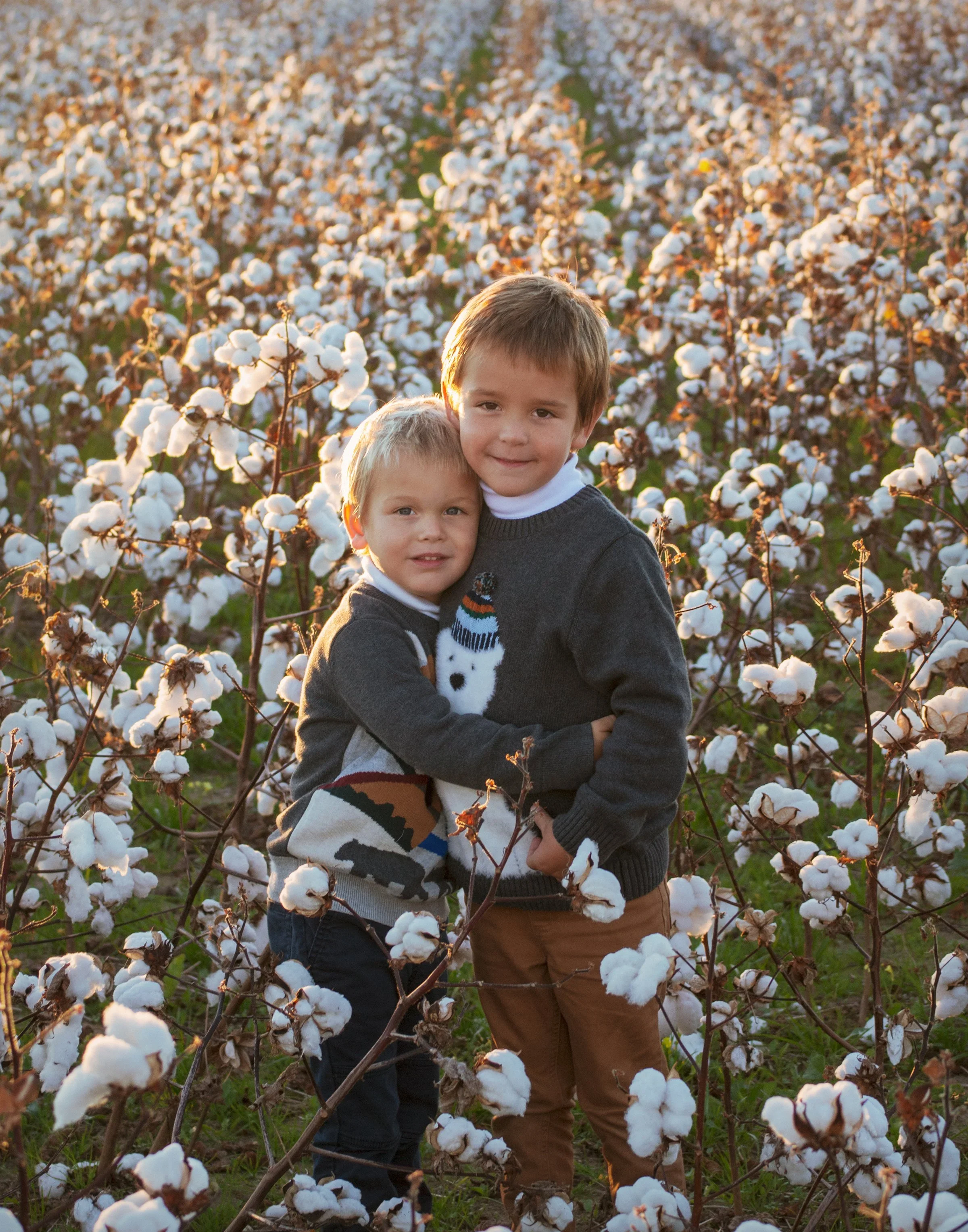 image-asset.webp