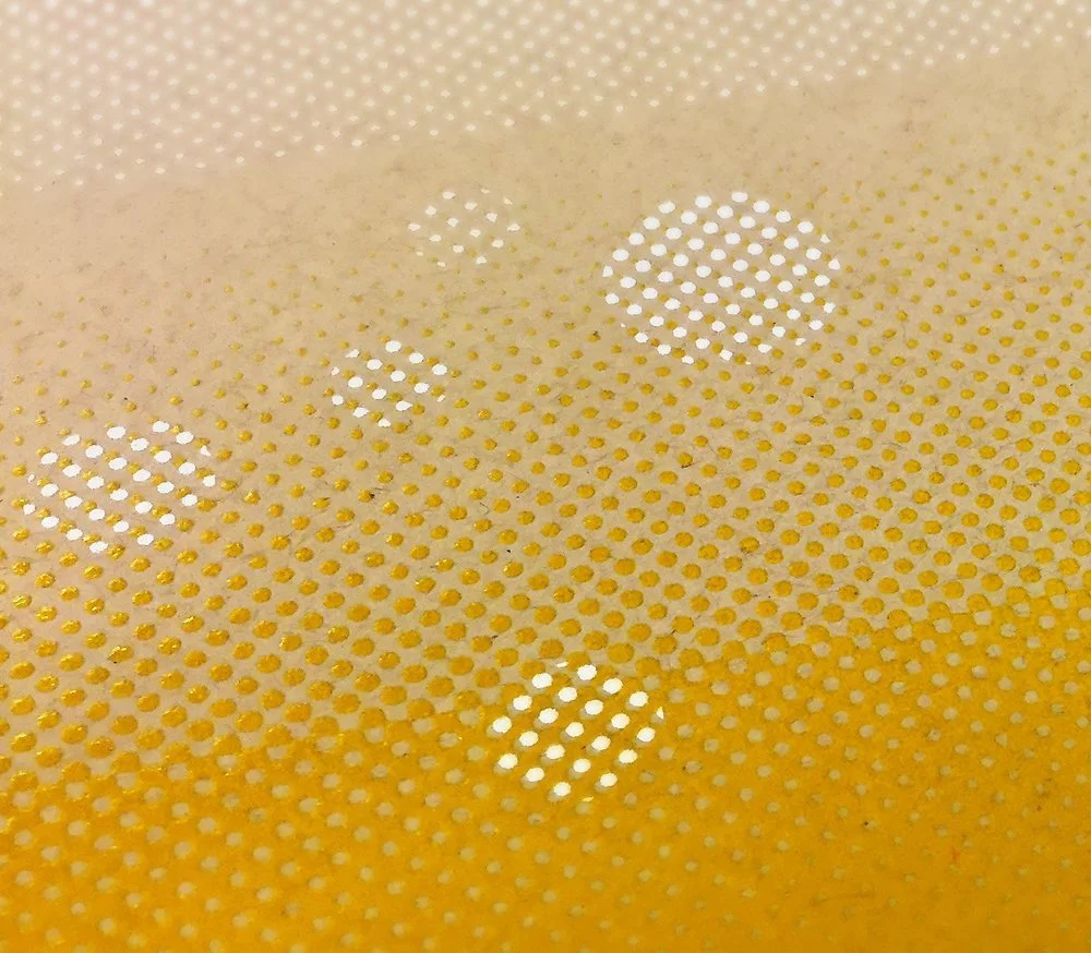 20_TBBW_ZCoverCloseUp2.jpg