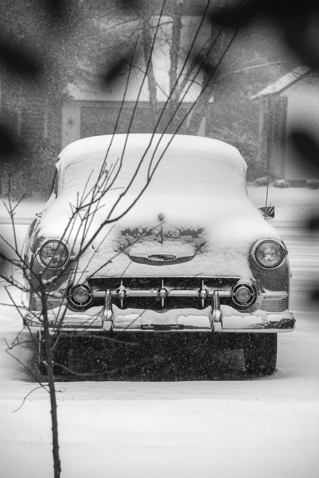 Snowmageddon_1-21-25-3.png