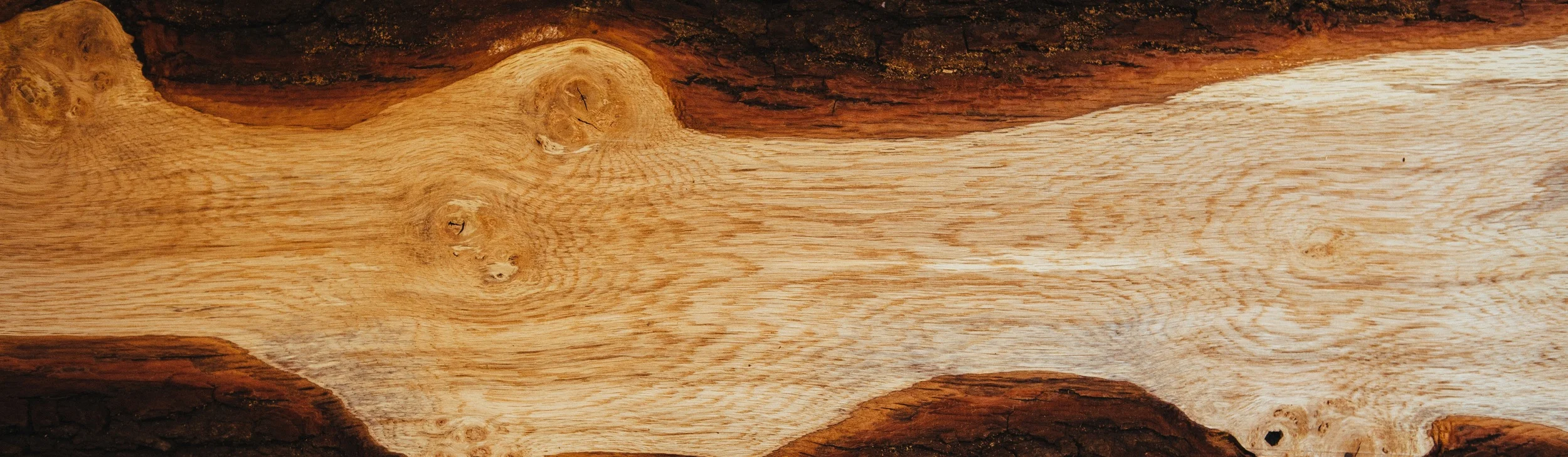 wood-tree-grain-fallen.jpg