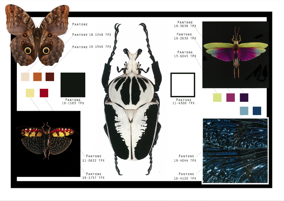 Screen Shot 2023-08-07 at 12.45.09 PM.png