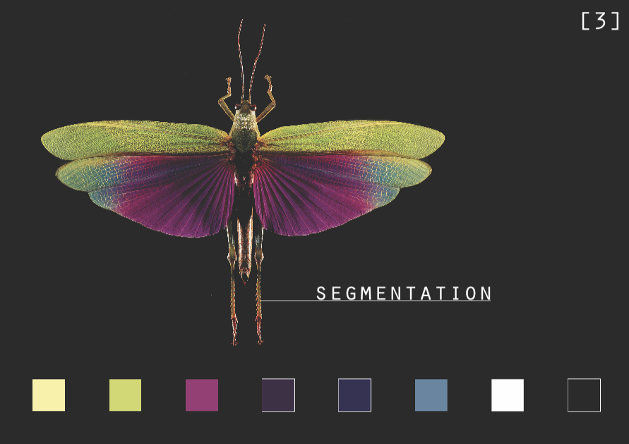 Screen Shot 2023-08-07 at 1.22.08 PM.png