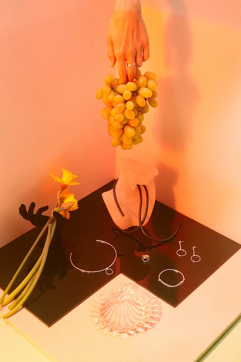 CT_LookBook_April2017_CosmicTwin27639 copy.jpg