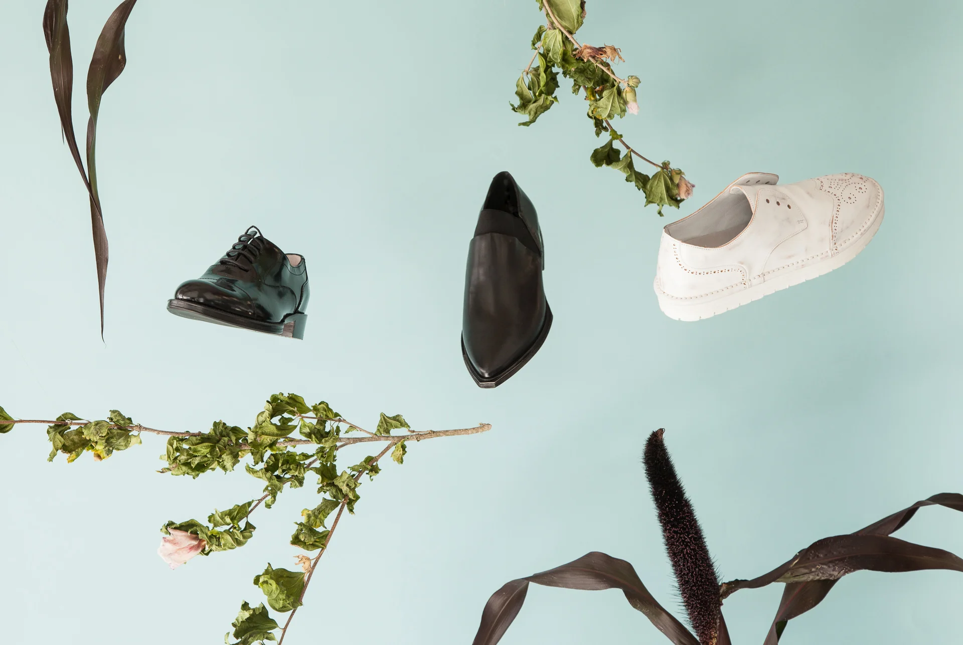 shoe_editorial_web-1.jpg