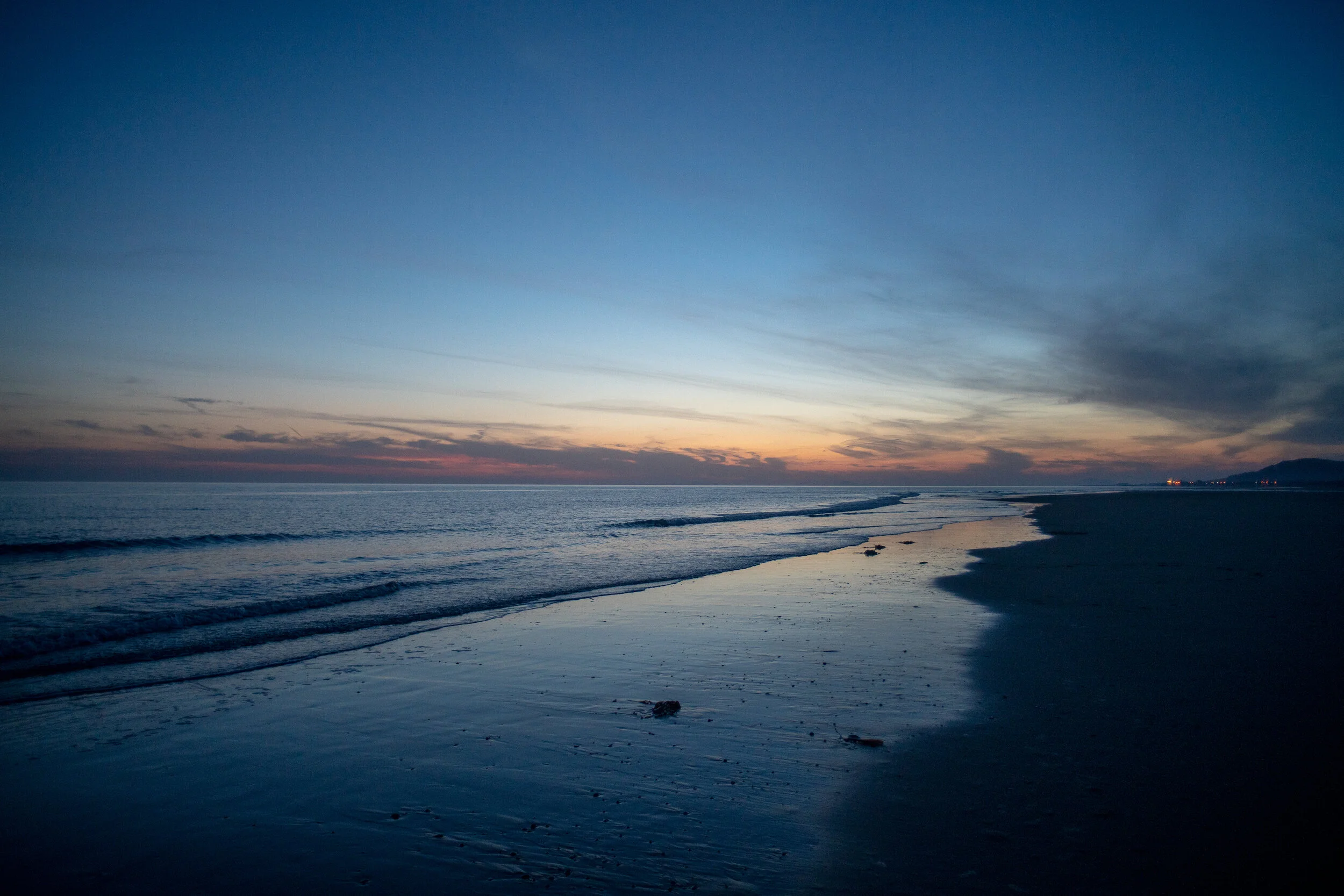 ginger_alice_prints_store-5 copy.jpg