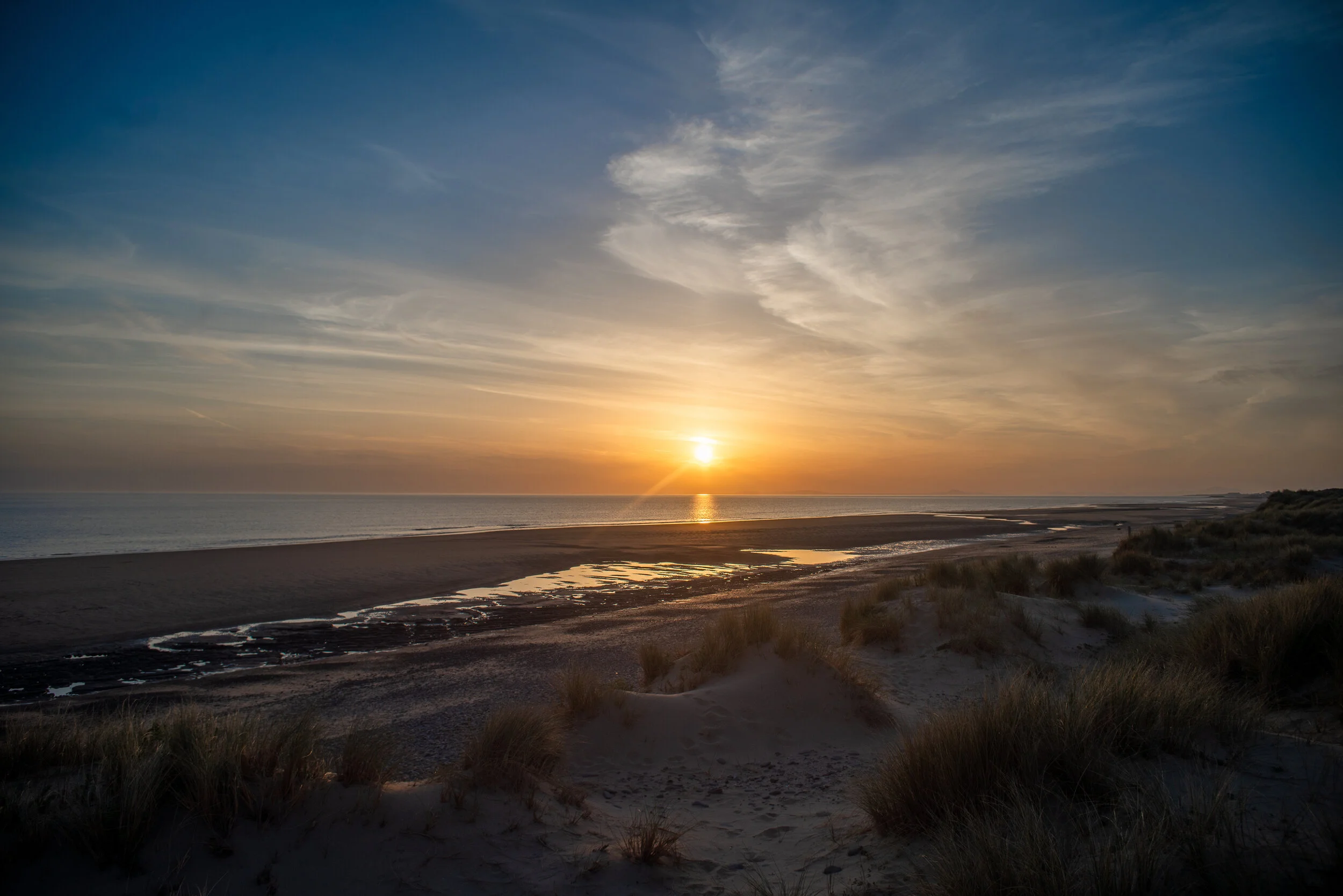 ginger_alice_prints_store-2 copy.jpg