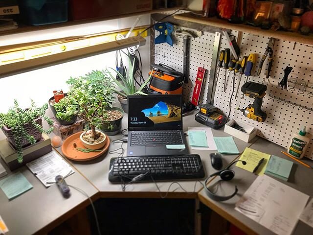 I set up my at home workstation in my photography office near our bonsai and succulents. I&rsquo;m really liking being near the plants while I work. I&rsquo;m gonna have to figure out a way to get some of these to the office.