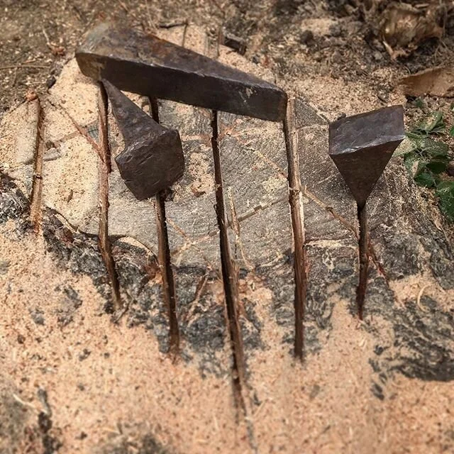 #funtimes #stumpremoval