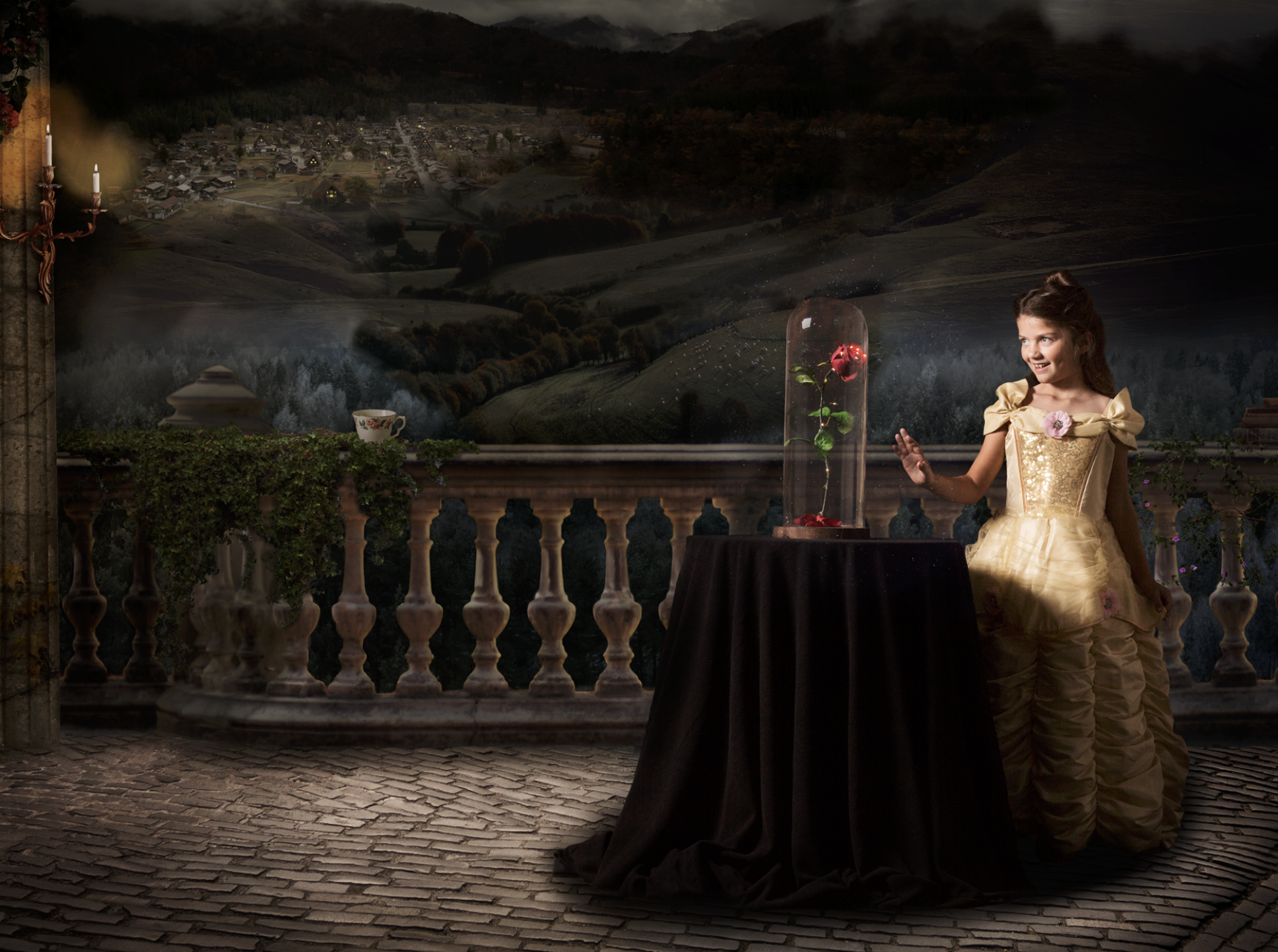 Beauty and The Beast Inspired Composite