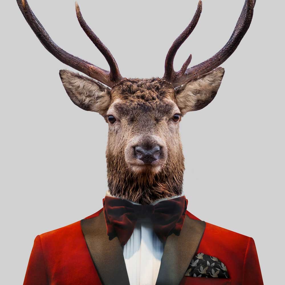 Male-Deer_web.jpg