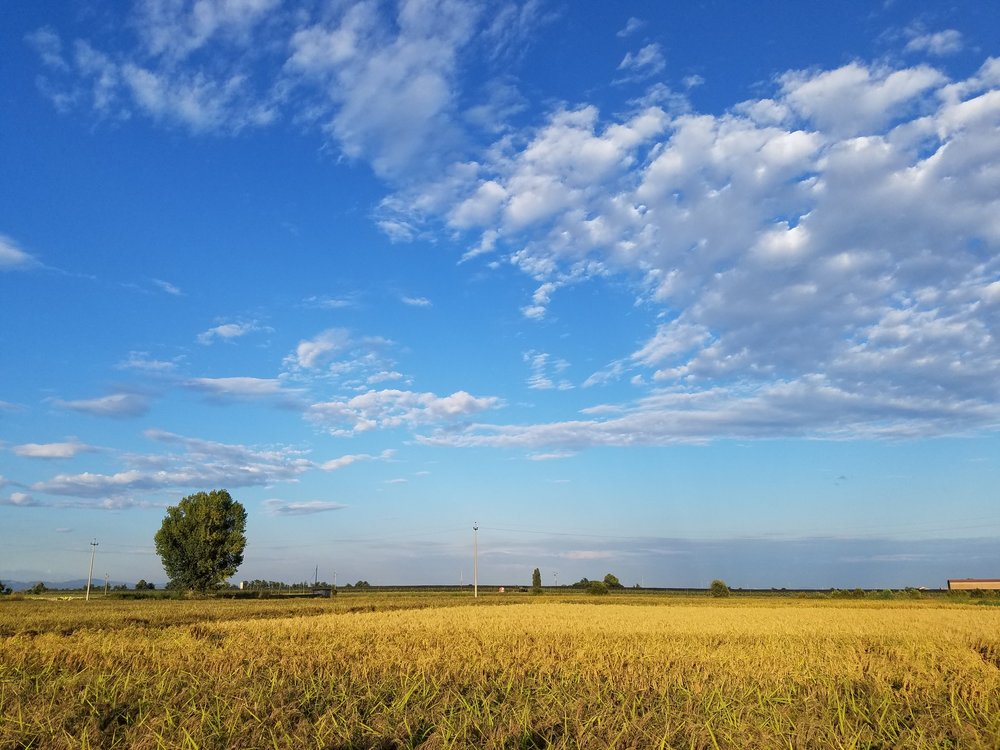 melotti farm_12.jpg