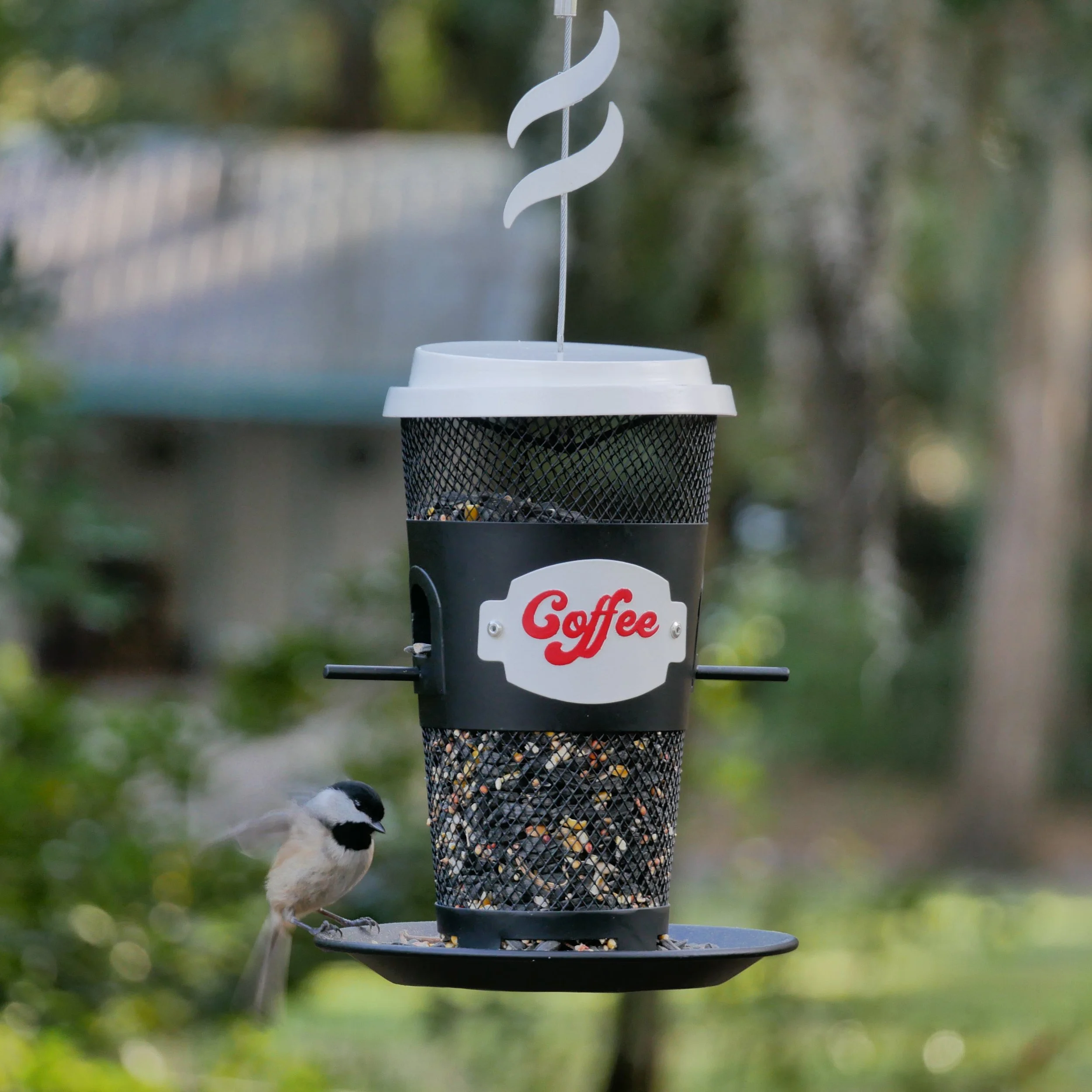 to-go_coffee_birdfeeder_7.jpeg